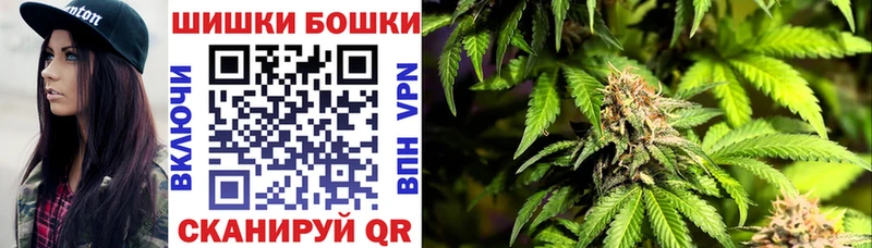 Где купить наркотики Заозёрный Кокаин  Галлюциногенные грибы  Марихуана  СК 