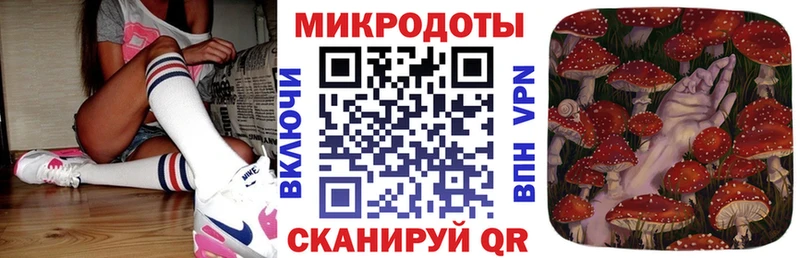 darknet телеграм  Заозёрный  Галлюциногенные грибы Psilocybe 